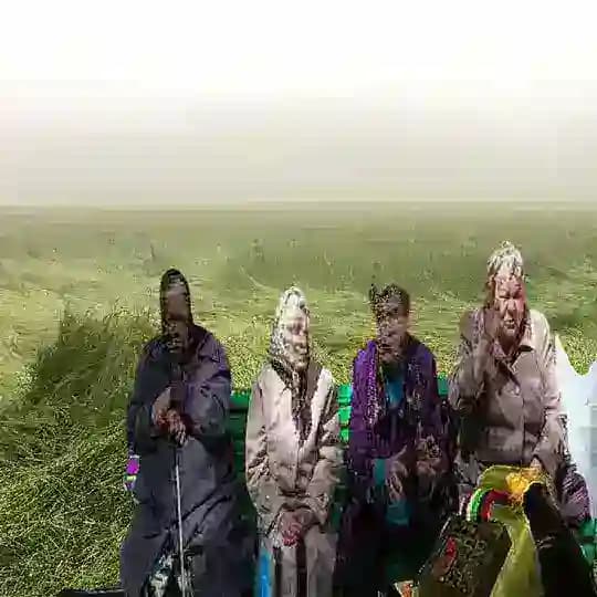 Apegs Tven