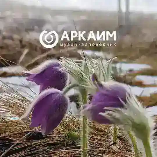 АРКАИМ