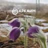 АРКАИМ