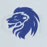 АРСЛАН | Студенческий спортивный клуб 🦁
