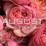 AUGUST | АВГУСТ | ЦВЕТЫ НОВОСИБИРСК ДОСТАВКА