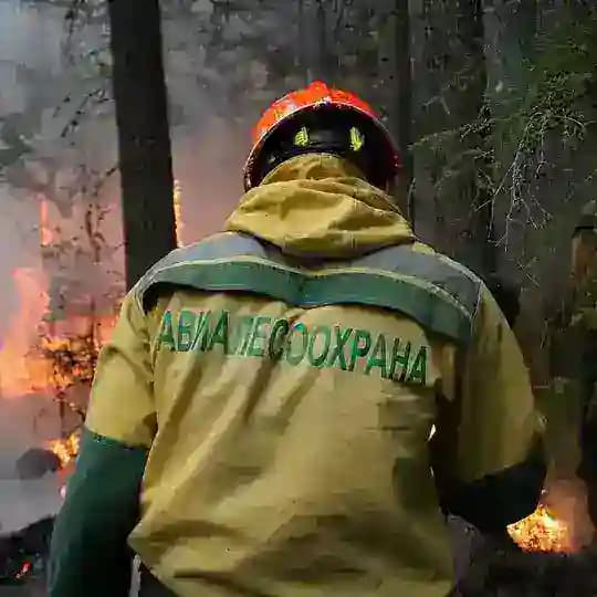 Федеральная Авиалесоохрана
