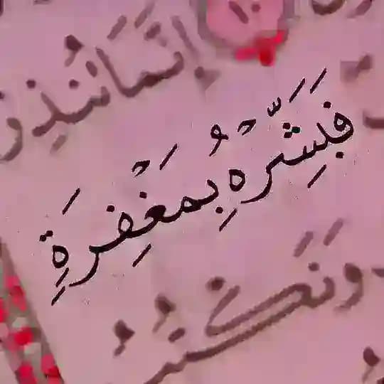 مقاطع قرآن كريم 🤍