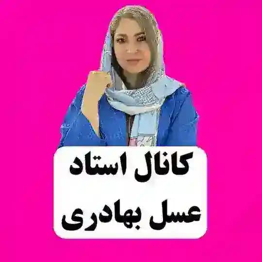 کانال اصلی استاد عسل بهادری Profile