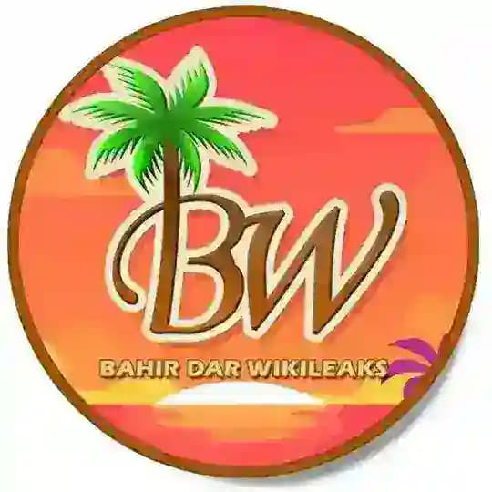 Bahir Dar WikiLeaks - BW