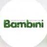 Bambini | билингвальный детский сад | Барнаул