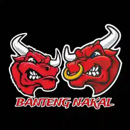 BANTENG NAKAL #VIRAL
