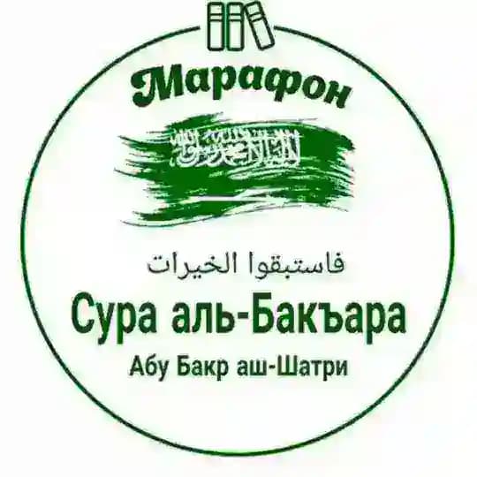 Бакара сураси