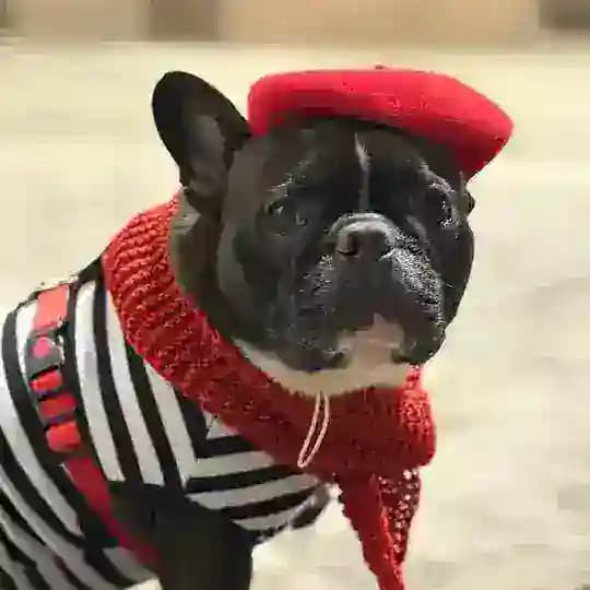 Бароша-скейтер❤️