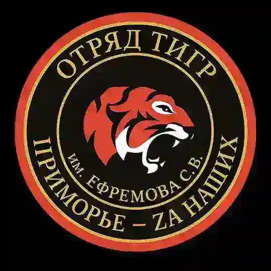 Жизнь «Тигров»