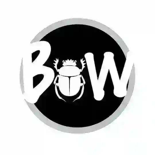 Beetles of the World