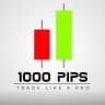 1000PIP BUILDER (free) OFFICIAL