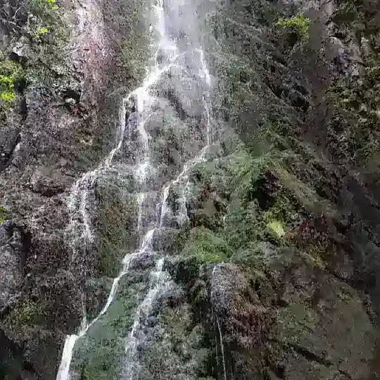 ⚡Gesundheit aus der Natur 🌱⛰️