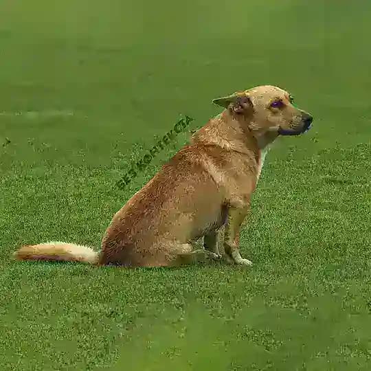 БФ без контекста