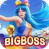 bigboss2538