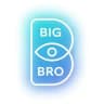 BIGBRO ХАБАРОВСК