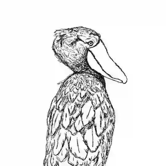cards_with_birds