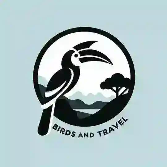 Birds&Travel