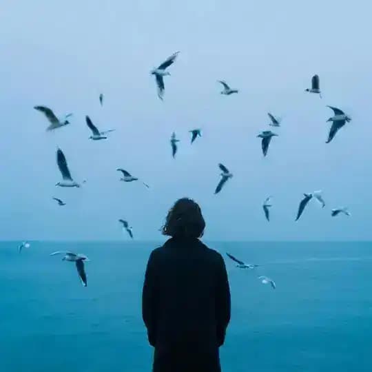 بی‌سلول• Profile