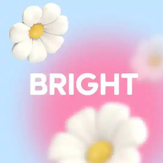 Bright Fit