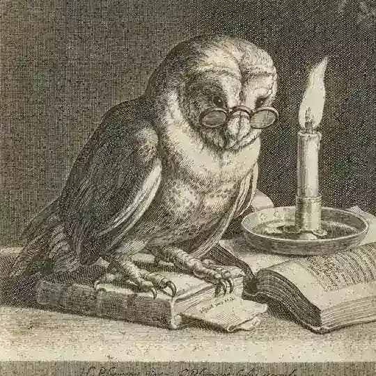 The Blindspot Archives Profile