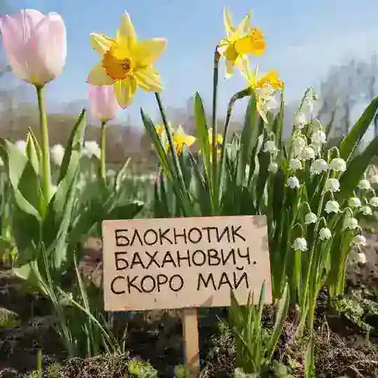 Блокнотик Баханович