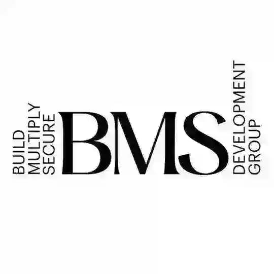 BMS Development Group