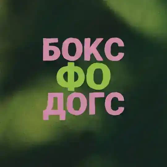 Бокс Фо Догс
