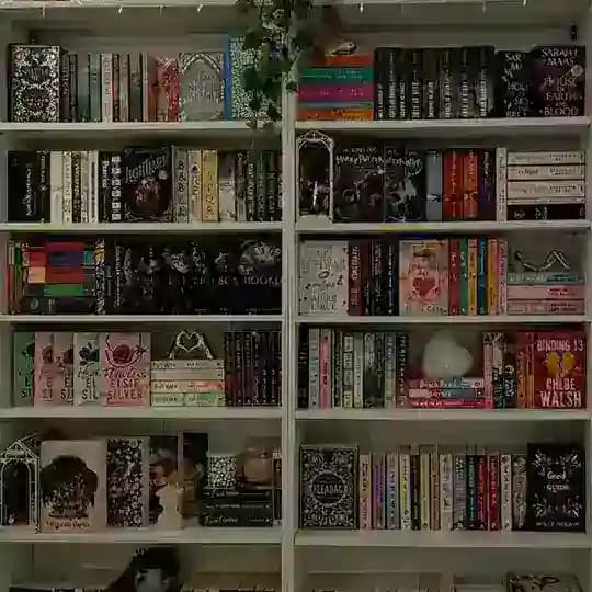 𝙏𝙝𝙚 𝘽𝙤𝙤𝙠 𝘼𝙧𝙘𝙝𝙞𝙫𝙚 📖 Profile