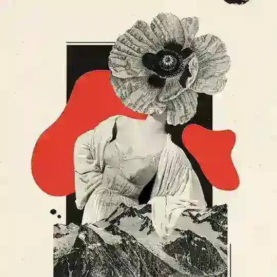 Книжная околица