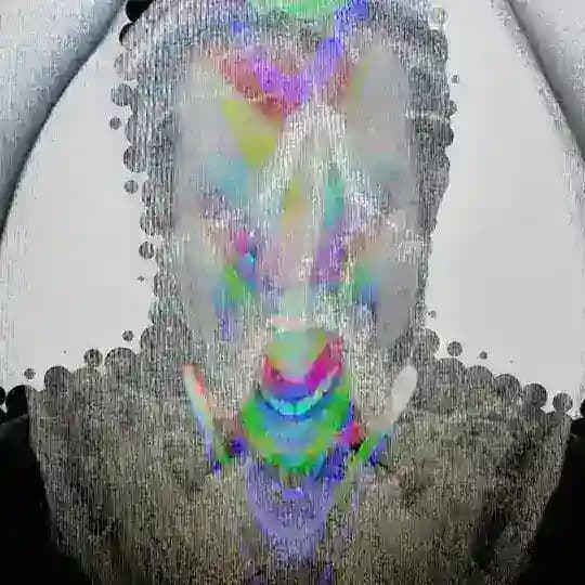 S666
