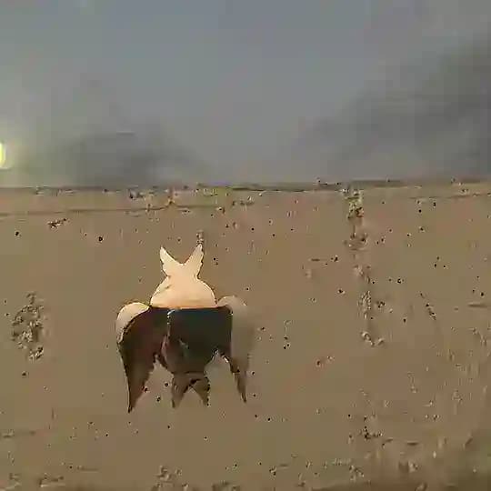Не в бровь/а в глаз