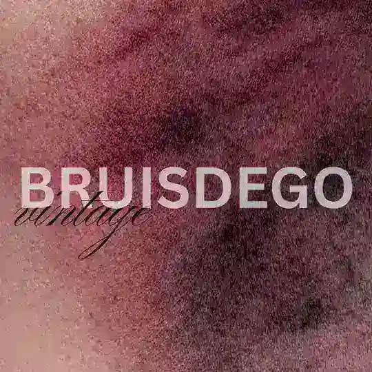 BRUISDEGO.VTG