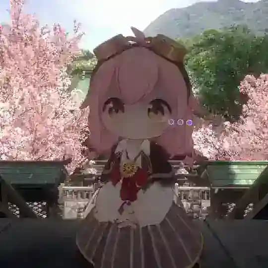 🇺🇸美国范围主频道