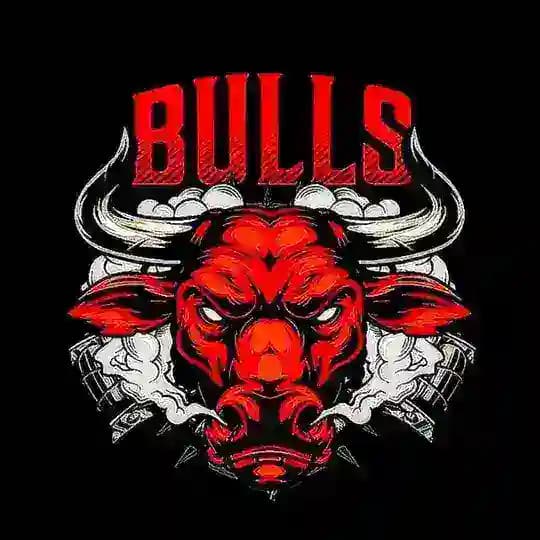 Bulls Network Official