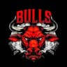 Bulls Network Official