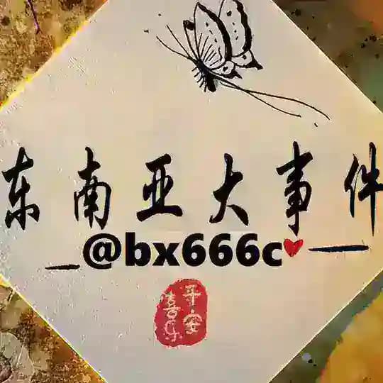 东南亚大事件（曝光）
