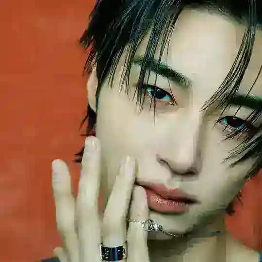 Byeon Woo Seok Myanmar