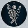 ONORE || taxidermy