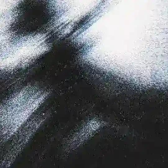 C4RGO