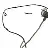 CAPYBARA TAPES