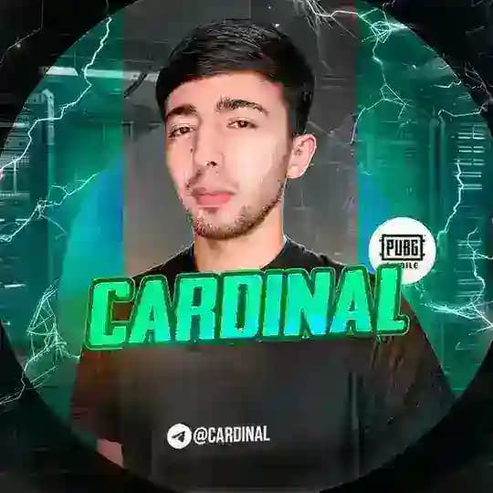 CARDINAL PUBG 🇺🇿 | Rasmiy Kanal