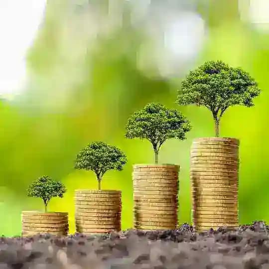 Cashout Investissement 💳 Profile