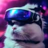 Кот из будущего