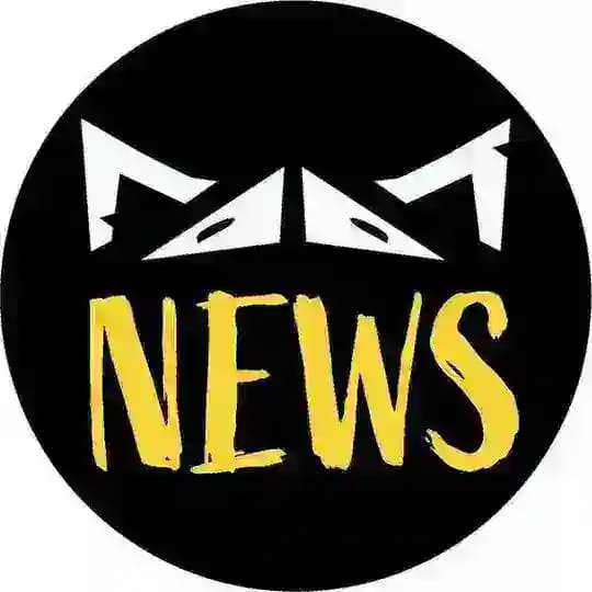 NEWS Cats&Dice 😸🎲