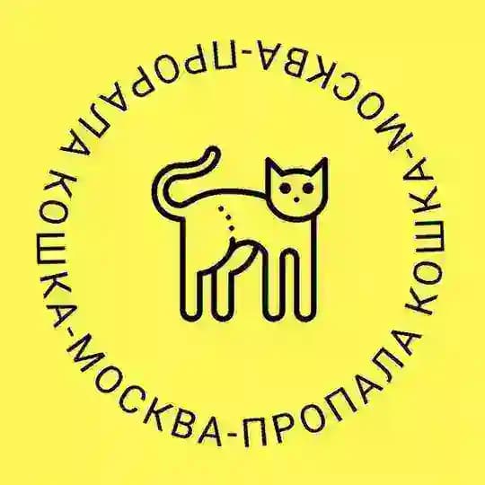 Пропала кошка Москва