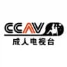 CCAV成人直播官方频道 ▶️