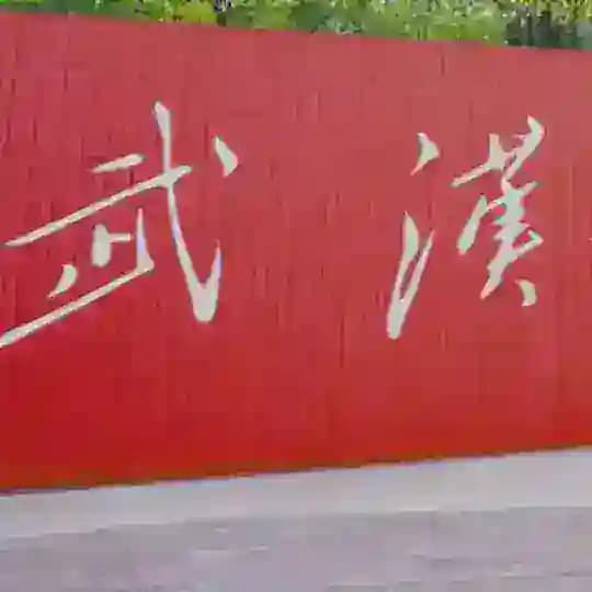 武汉外围 队长