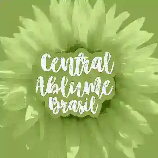 Central Ablume Brasil