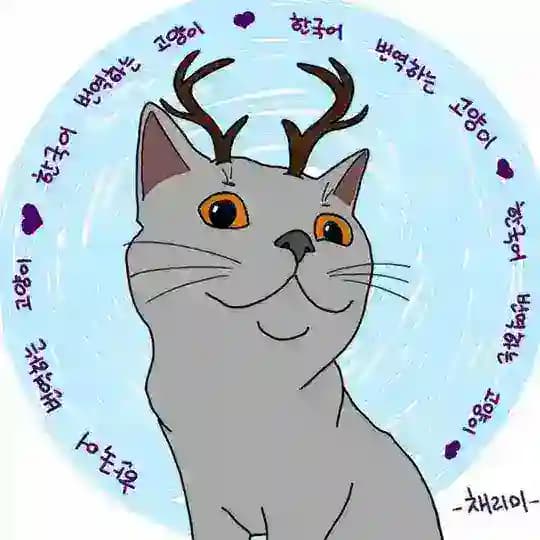 каморка кота-кореемана